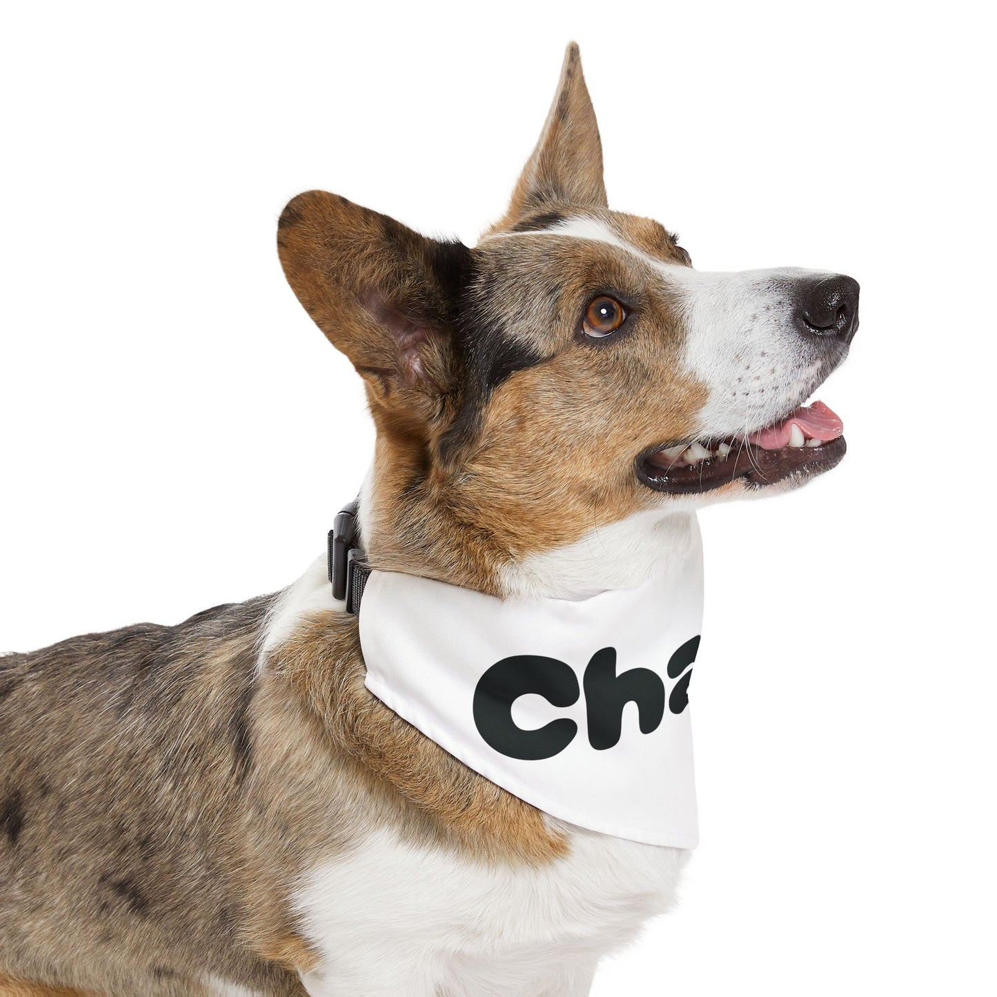 Personalized Pet Bandana Collar - Custom Name Dog Accessory