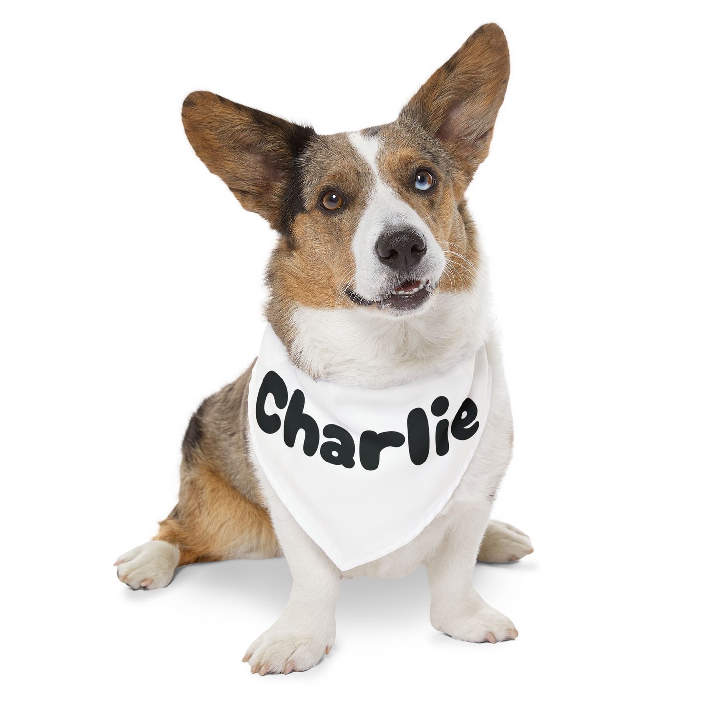 Personalized Pet Bandana Collar - Custom Name Dog Accessory