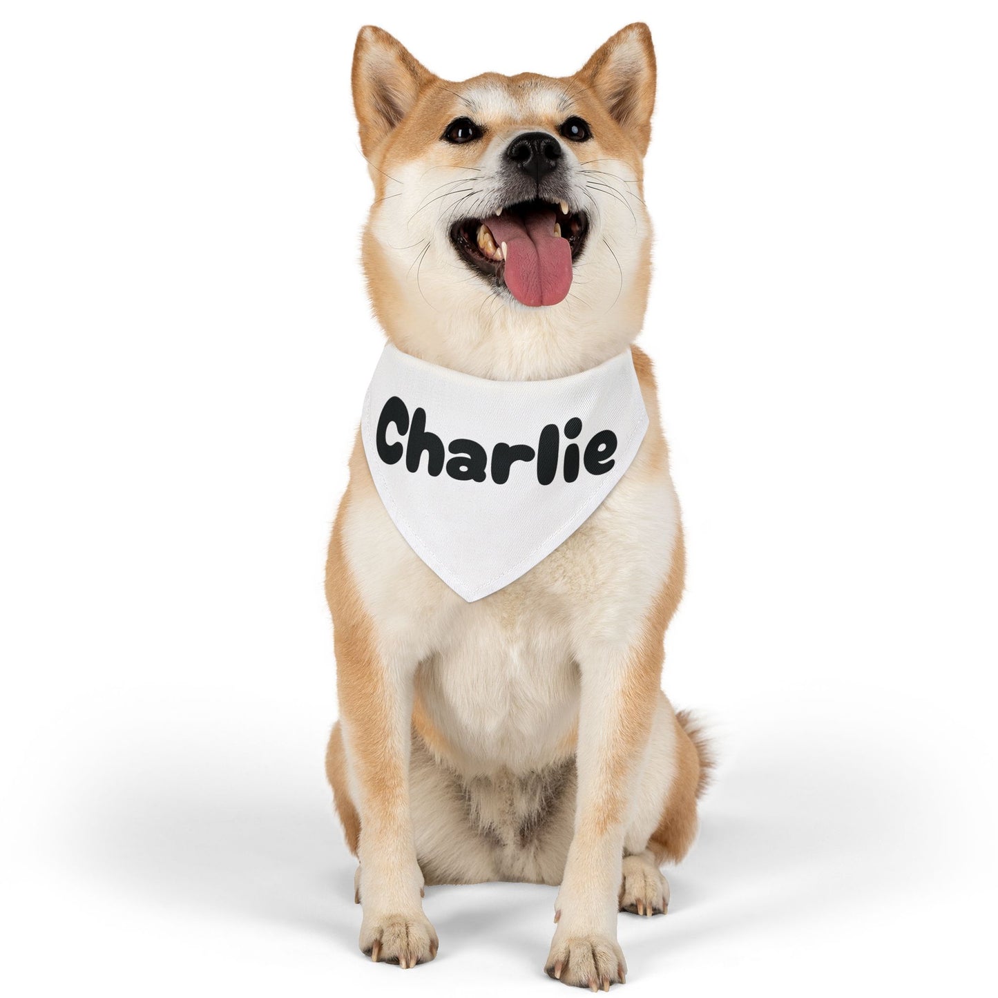 Personalized Pet Bandana Collar - Custom Name Dog Accessory